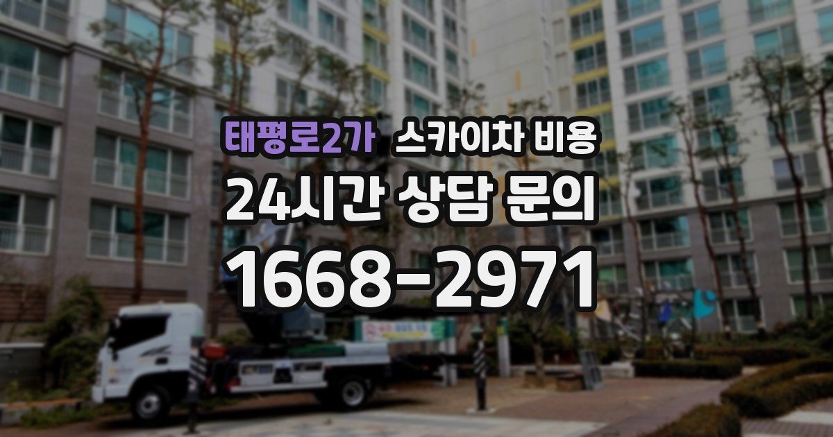 태평로2가 스카이차 비용