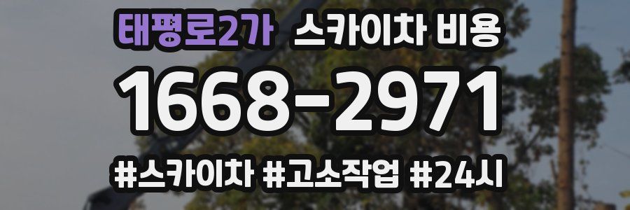 태평로2가 스카이차 비용