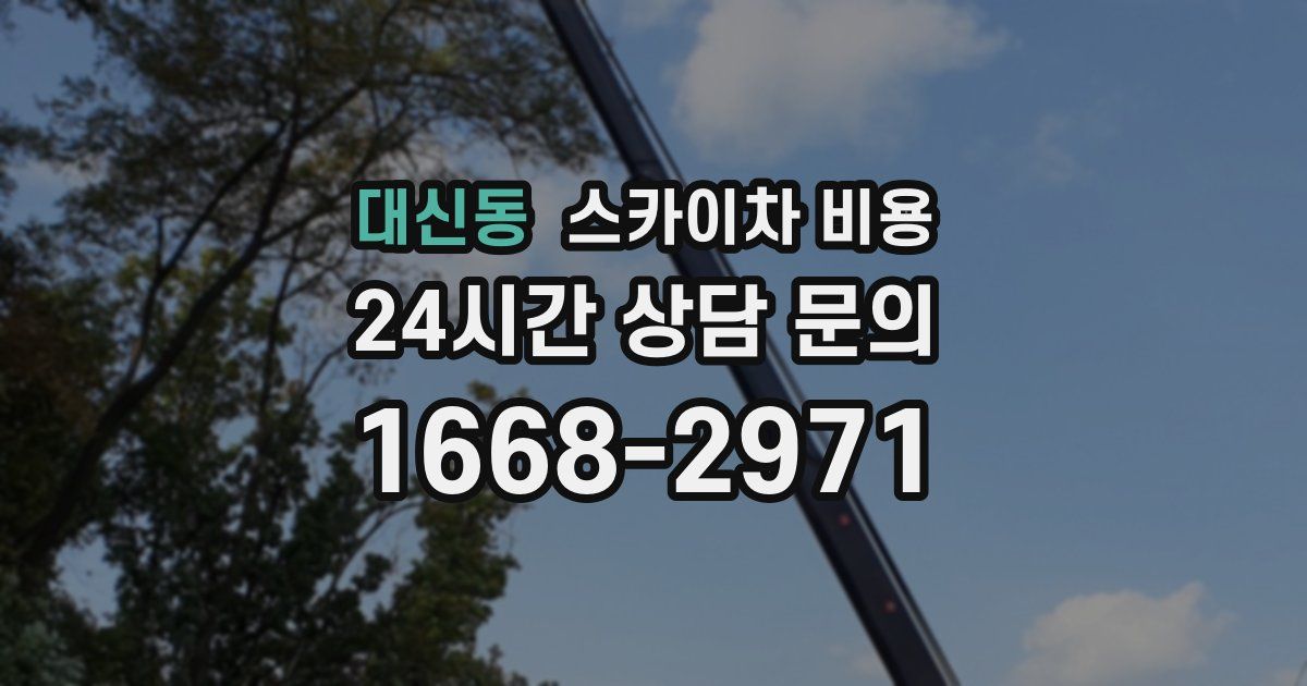 대신동 스카이차 비용