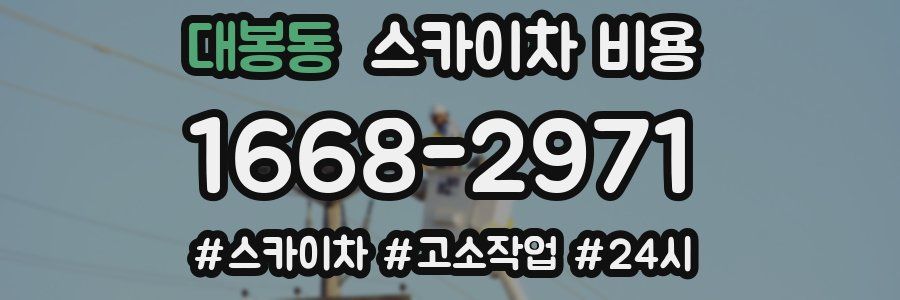 대봉동 스카이차 비용