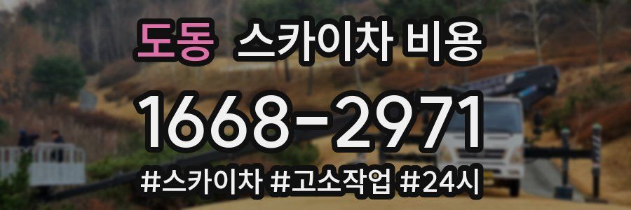 도동 스카이차 비용