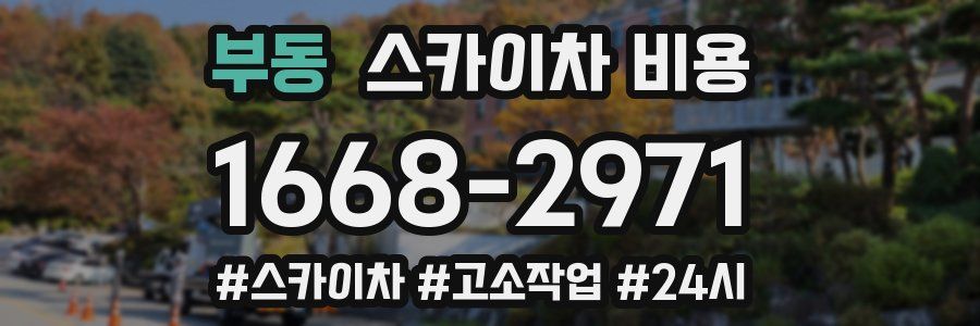 부동 스카이차 비용