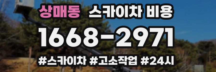 상매동 스카이차 비용