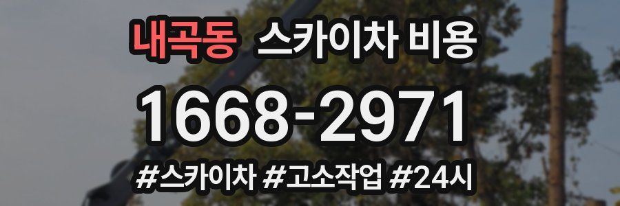 내곡동 스카이차 비용