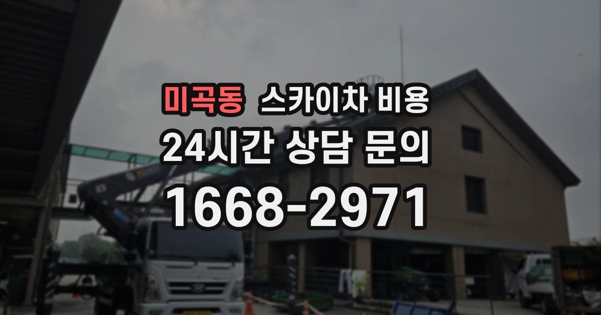 미곡동 스카이차 비용