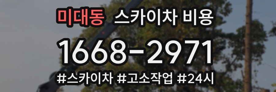 미대동 스카이차 비용