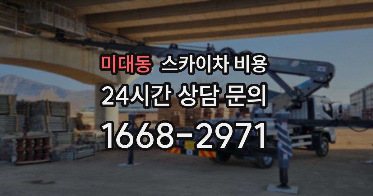 미대동 스카이차 비용