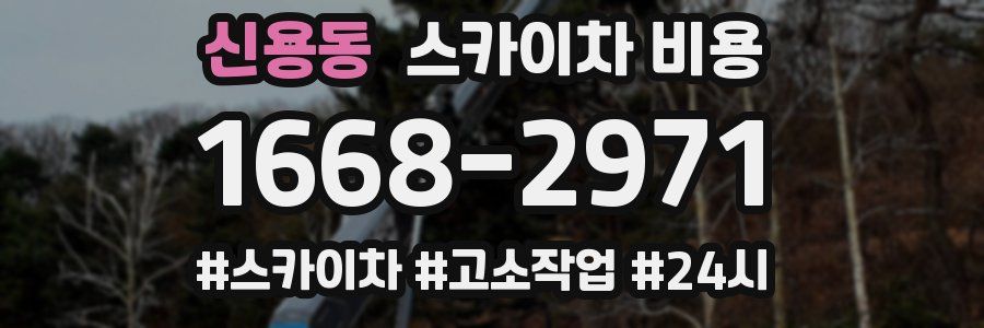 신용동 스카이차 비용