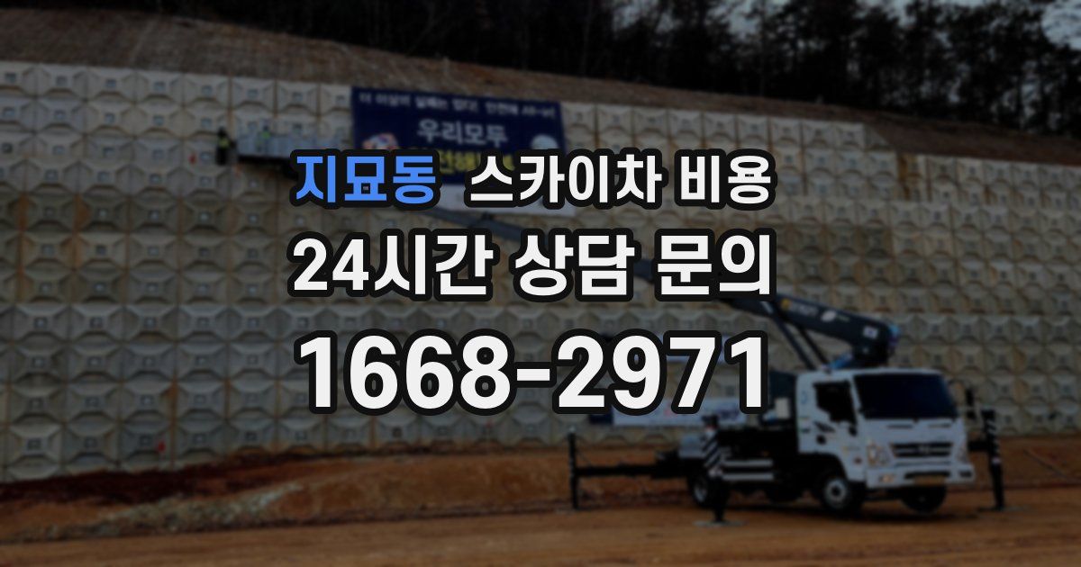 지묘동 스카이차 비용