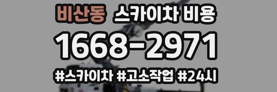 비산동 스카이차 비용