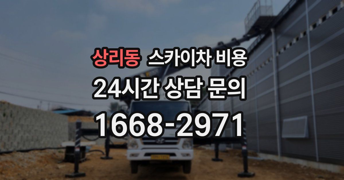 상리동 스카이차 비용