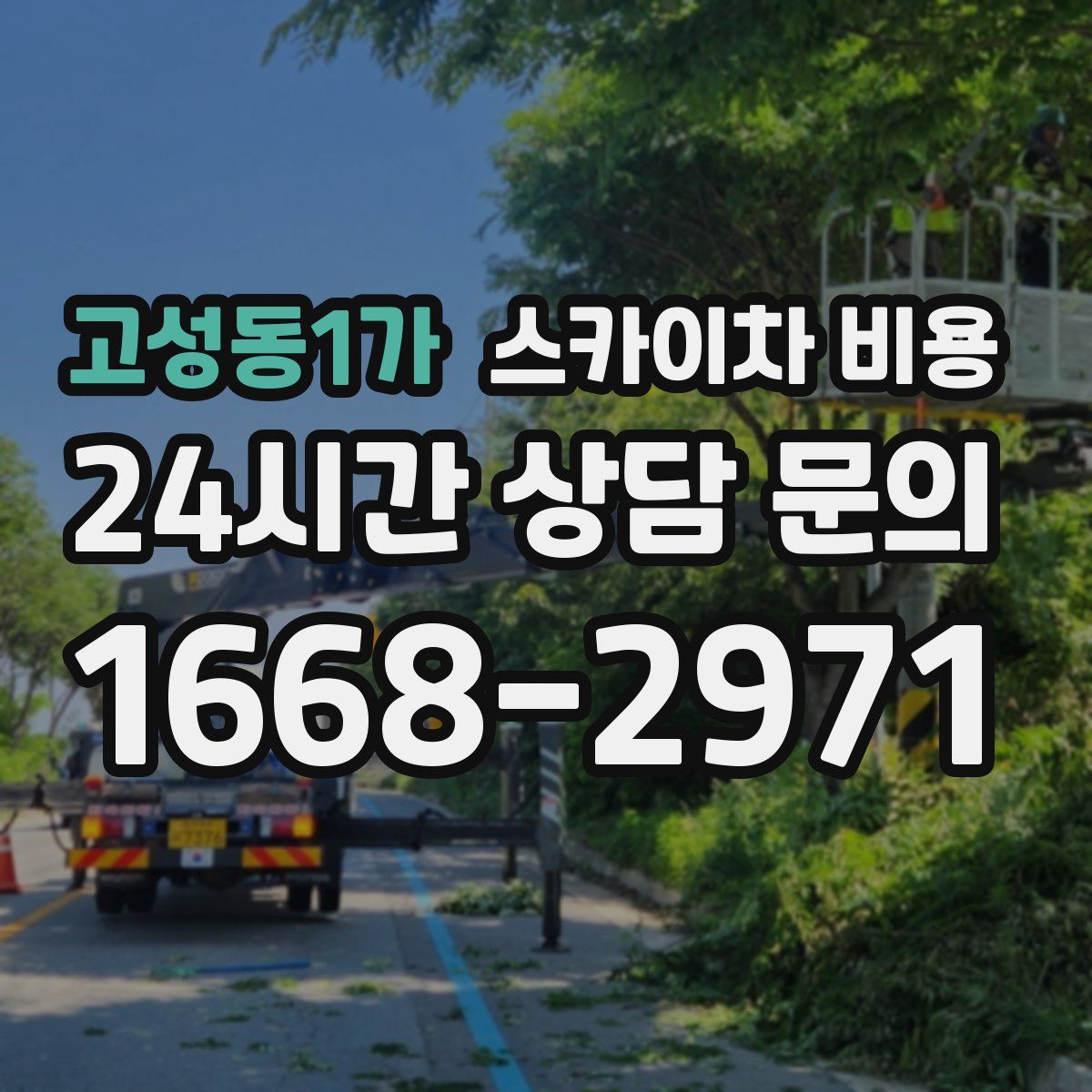 고성동1가 스카이차 비용