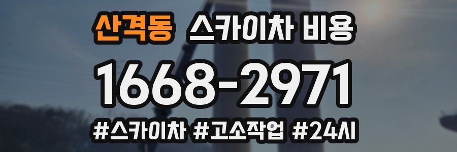 산격동 스카이차 비용