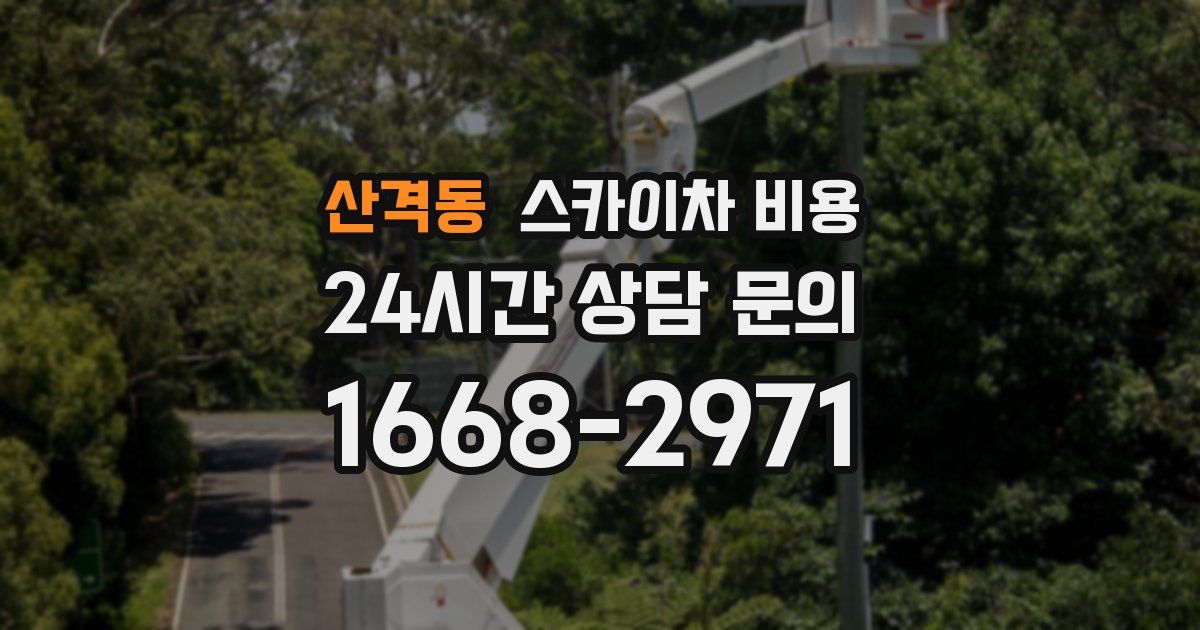 산격동 스카이차 비용