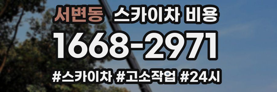 서변동 스카이차 비용