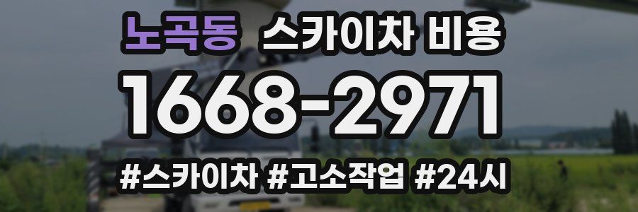 노곡동 스카이차 비용