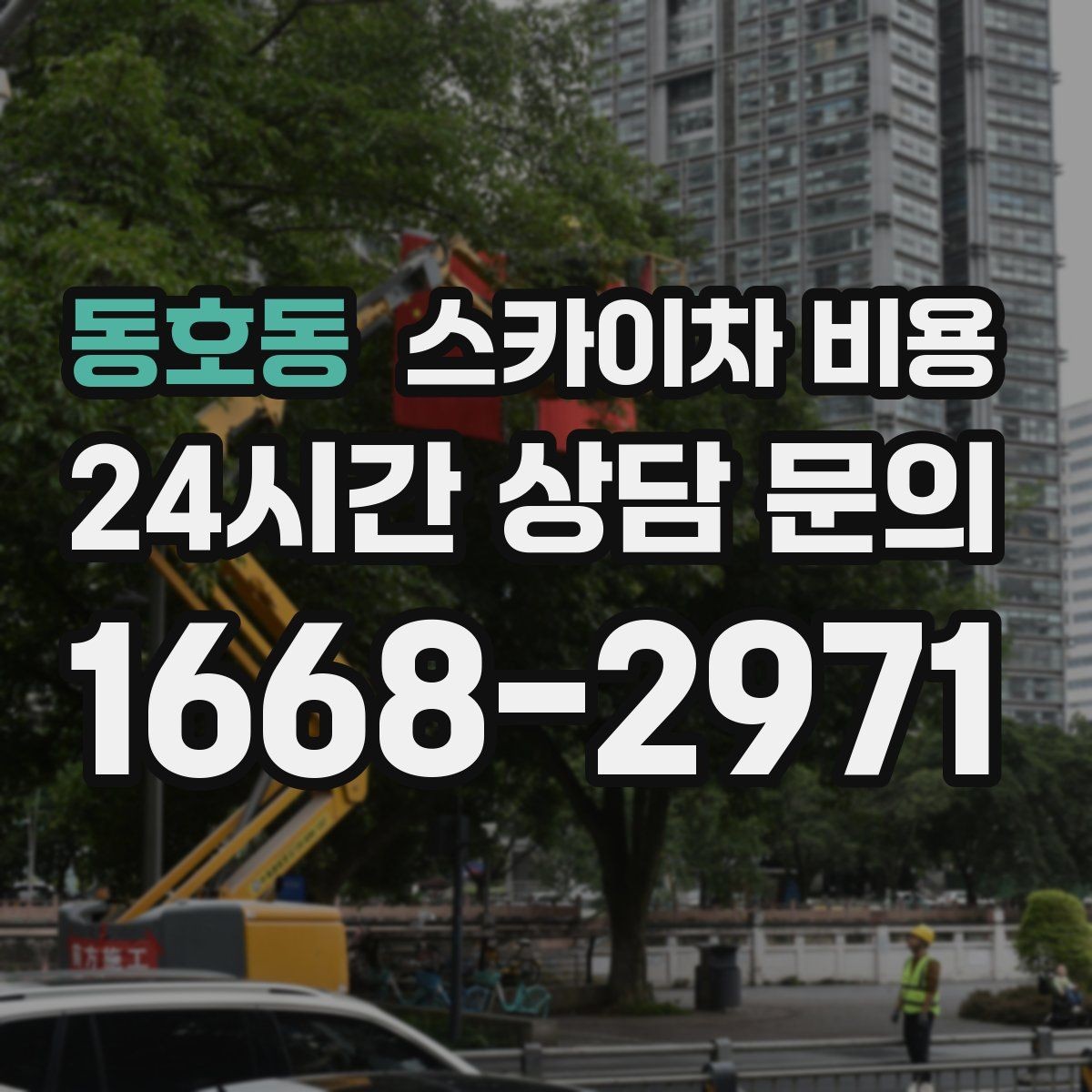 동호동 스카이차 비용 높이보다 접근성이 더 중요한 현장 정리