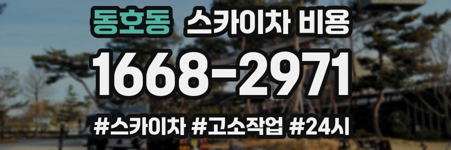 동호동 스카이차 비용
