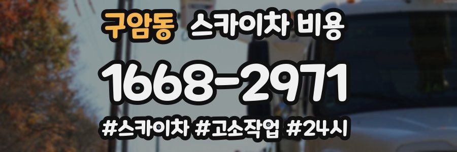 구암동 스카이차 비용