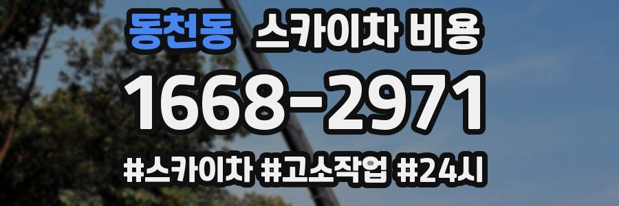 동천동 스카이차 비용