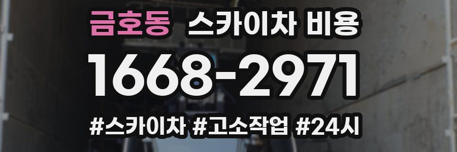 금호동 스카이차 비용