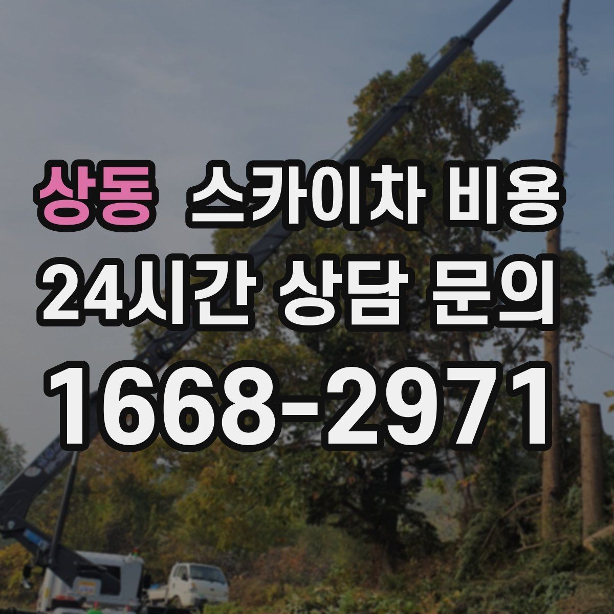 상동 스카이차 비용 돌출간판은 왜 시간이 더 걸릴 수 있을까