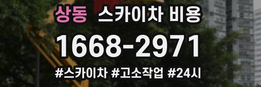 상동 스카이차 비용