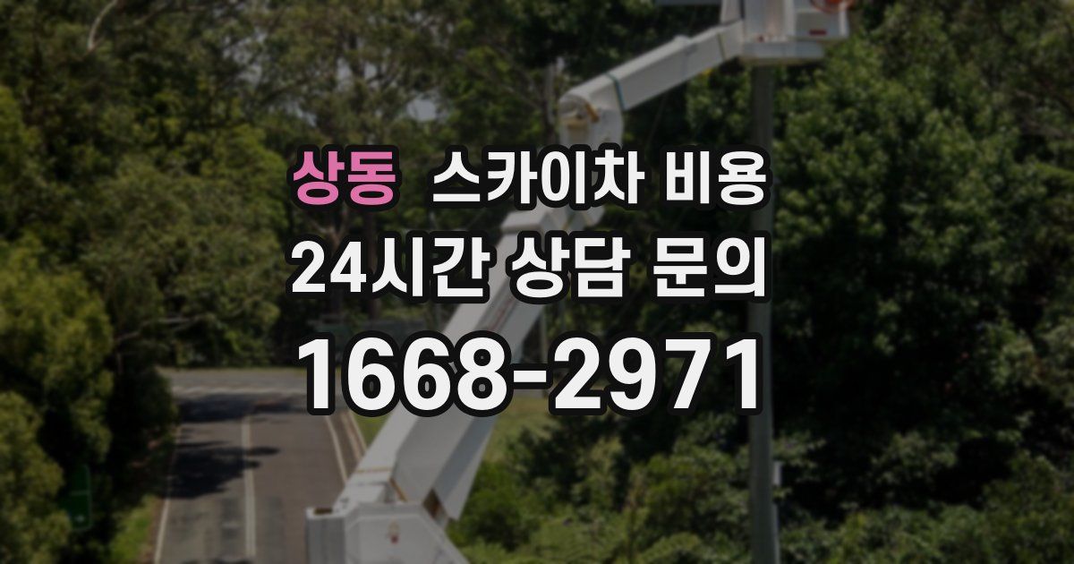 상동 스카이차 비용