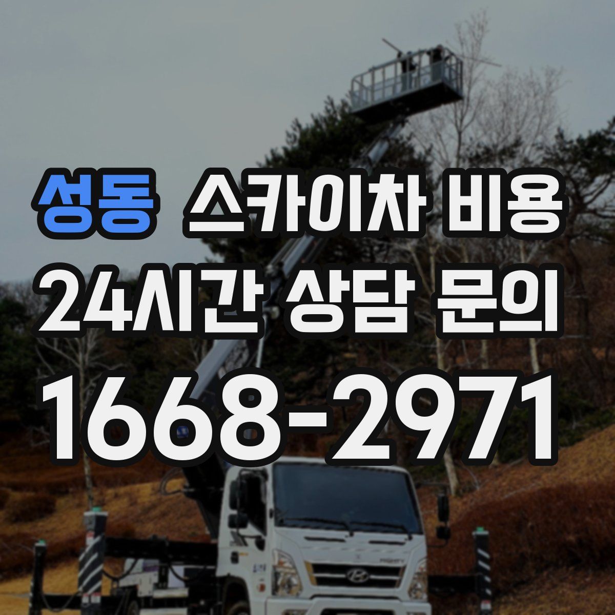 성동 스카이차 비용