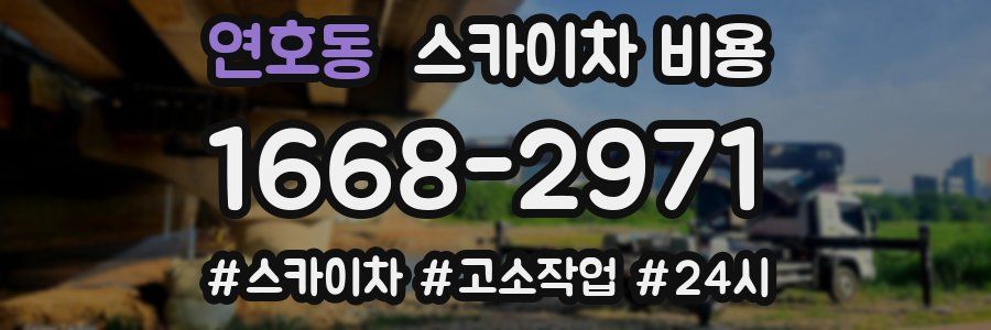 연호동 스카이차 비용