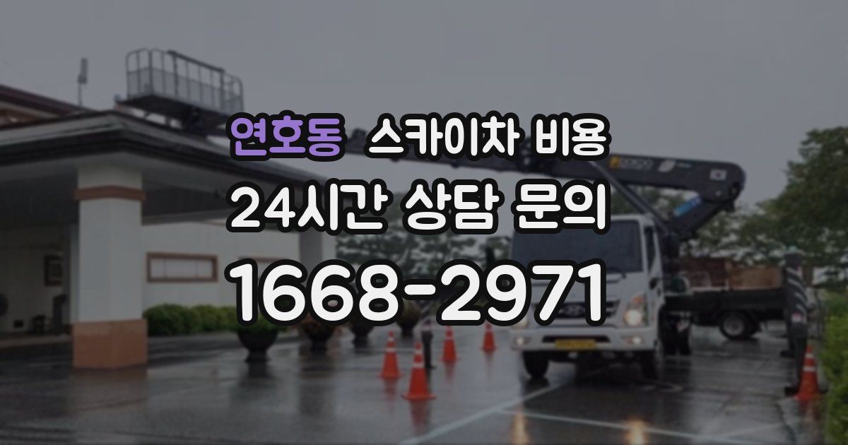 연호동 스카이차 비용