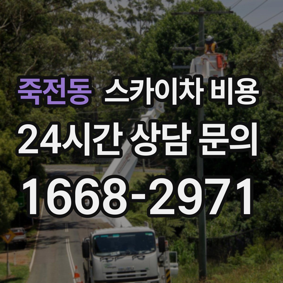 죽전동 스카이차 비용