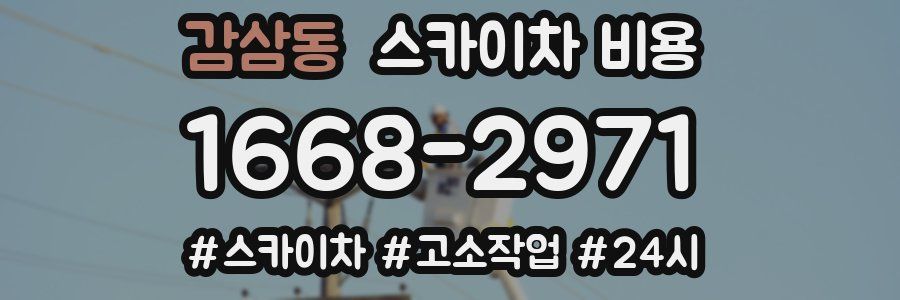 감삼동 스카이차 비용