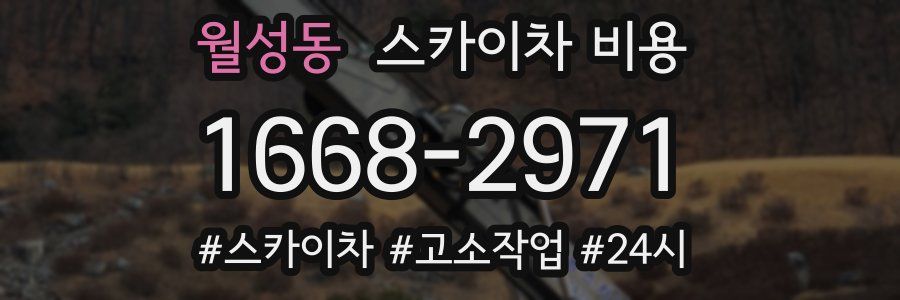 월성동 스카이차 비용