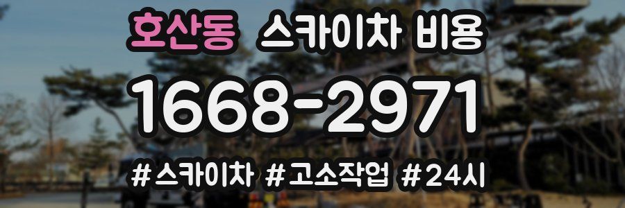 호산동 스카이차 비용