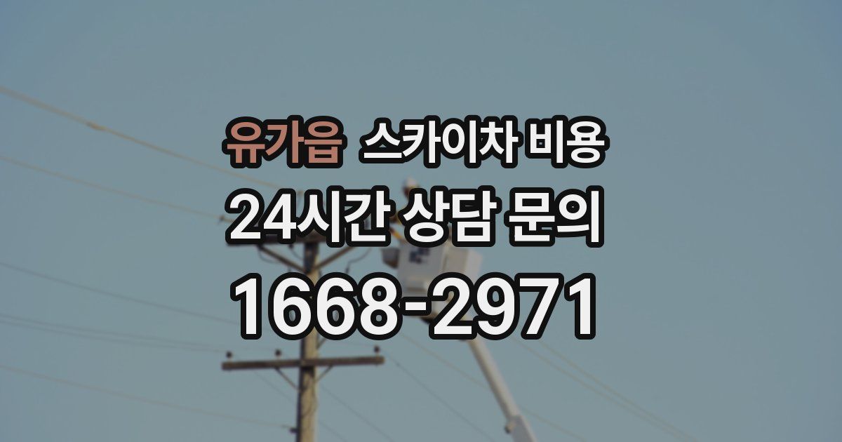 유가읍 스카이차 비용