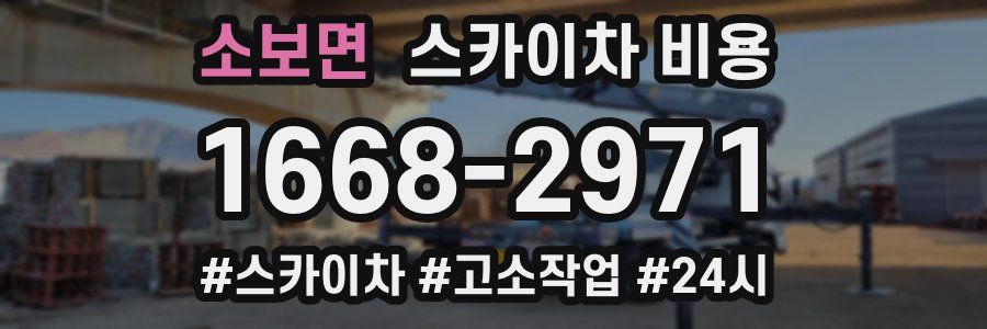 소보면 스카이차 비용