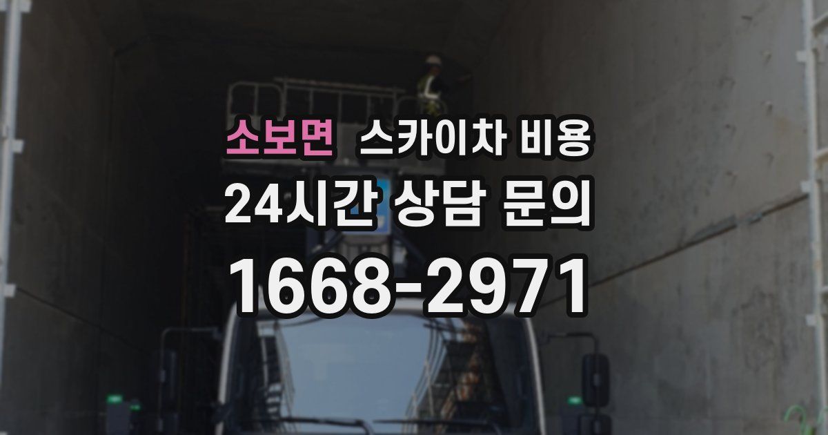 소보면 스카이차 비용