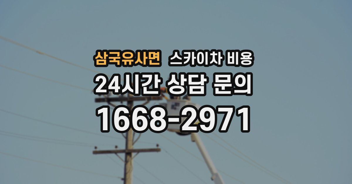 삼국유사면 스카이차 비용