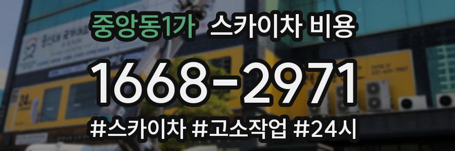 중앙동1가 스카이차 비용