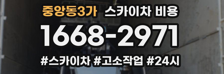 중앙동3가 스카이차 비용