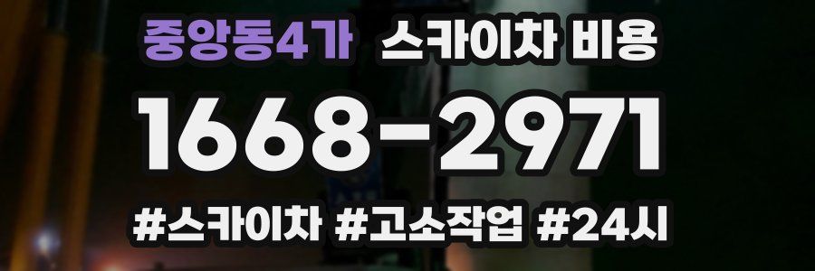 중앙동4가 스카이차 비용