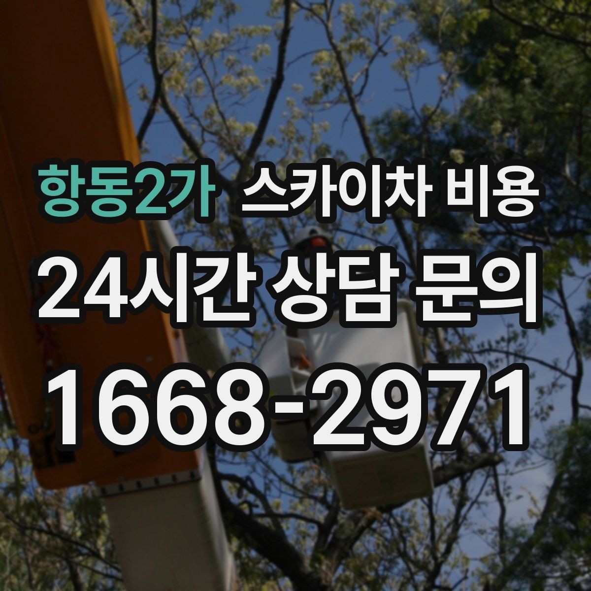 항동2가 스카이차 비용 간단 문의로 대략 견적 받는 방법