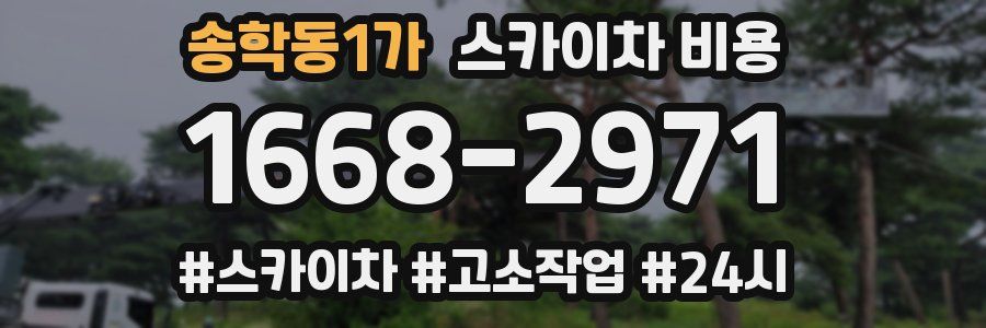 송학동1가 스카이차 비용