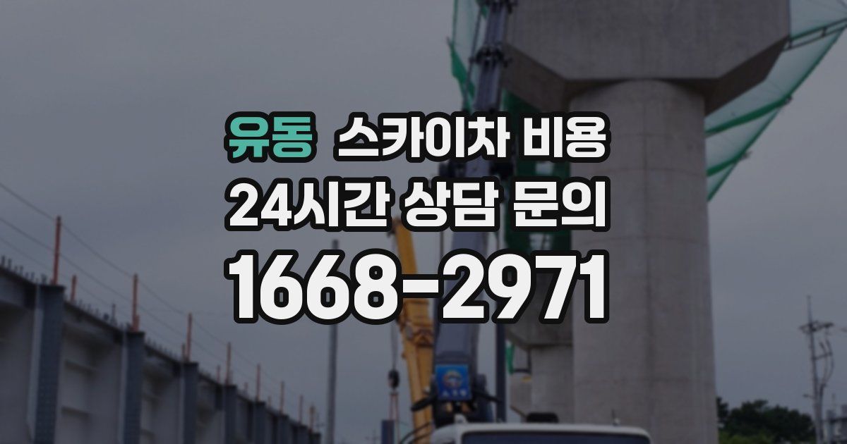 유동 스카이차 비용