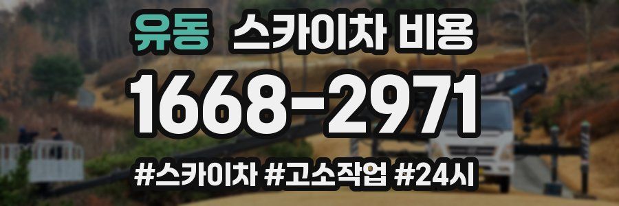 유동 스카이차 비용