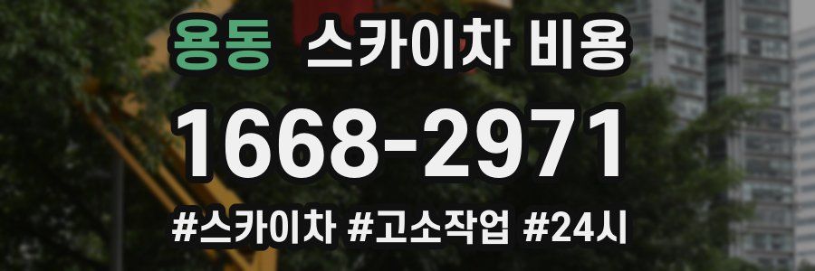 용동 스카이차 비용