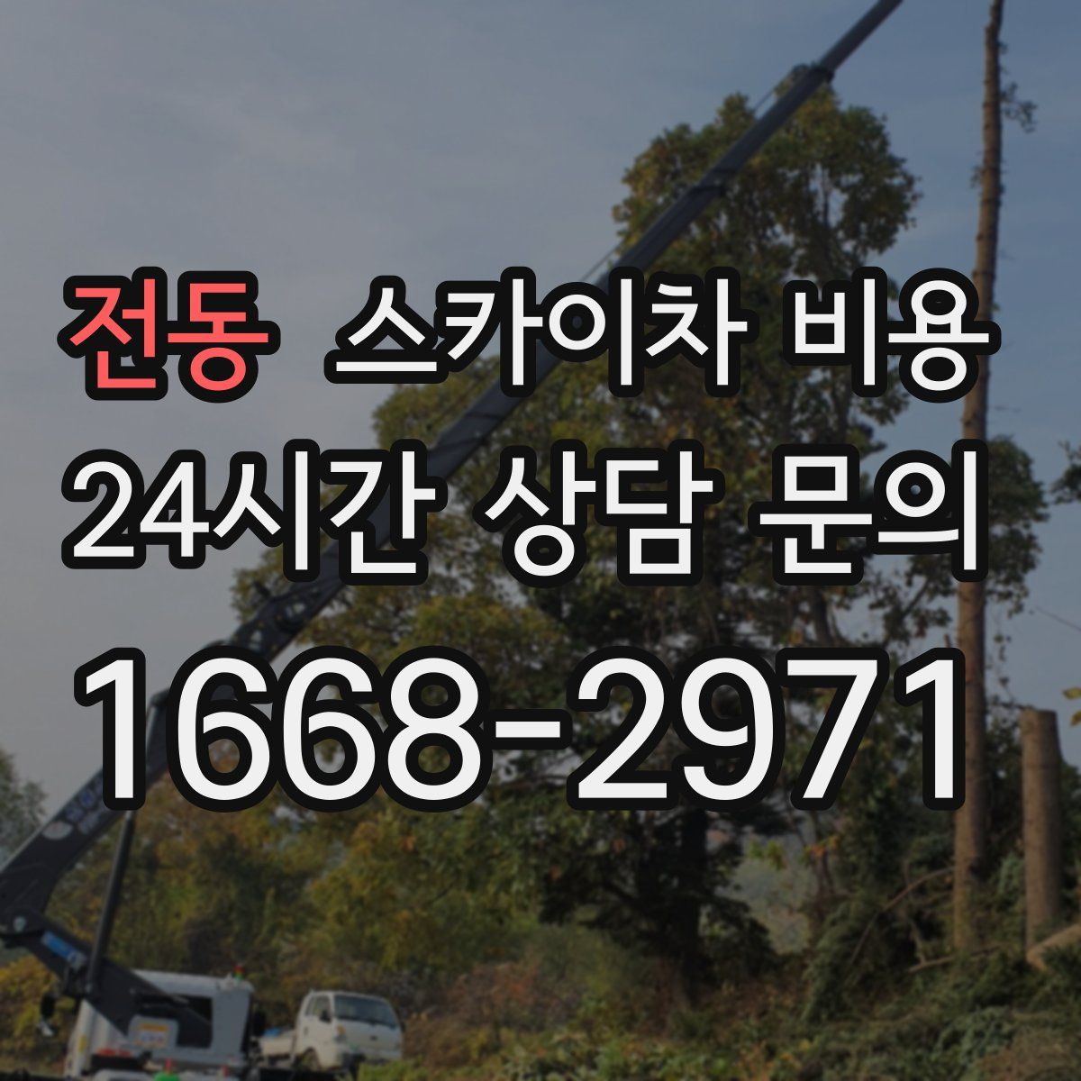 전동 스카이차 비용