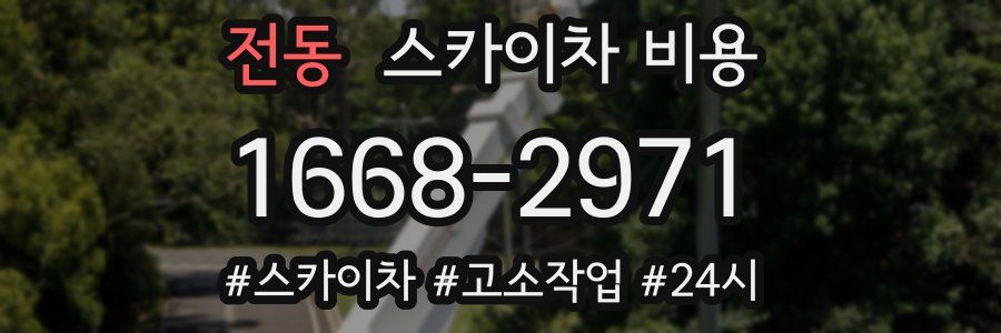 전동 스카이차 비용