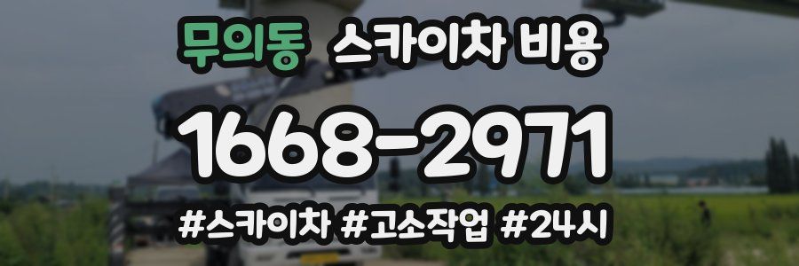 무의동 스카이차 비용